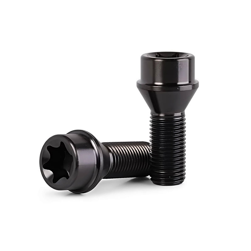Brixton Forged Titanium Lug Bolts