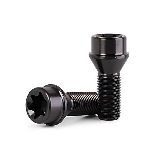 Brixton Forged Titanium Lug Bolts